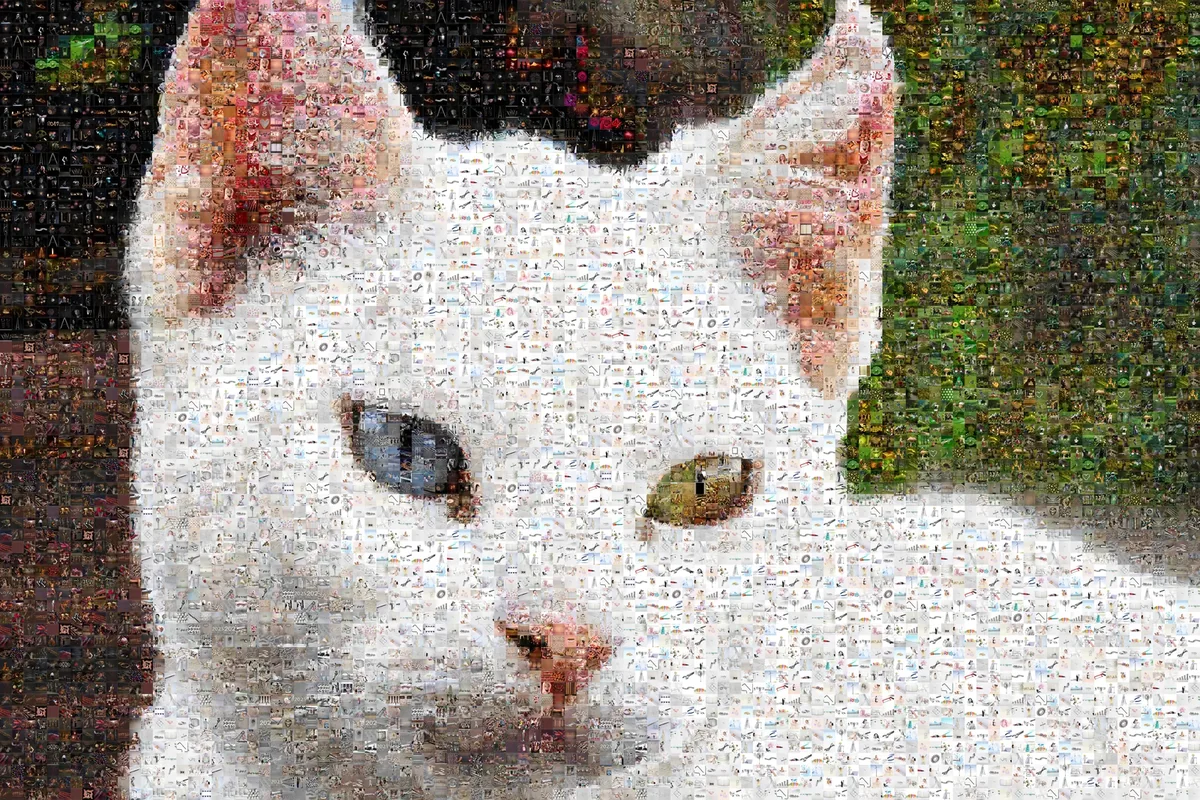 Кот из 7 000 одинаковых клеток