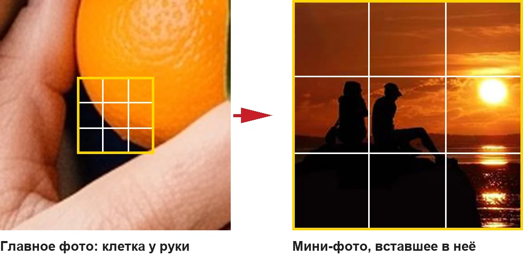Схема: клетка у руки — справа сверху оранжевый мандарин, снизу тёмная тень — и в неё встаёт закат: солнце справа сверху, тёмные силуэты снизу